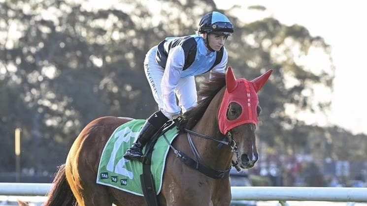 GRIMA'S RISE THE STUFF OF LEGEND